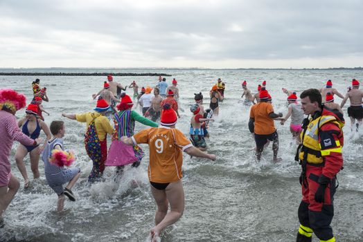 new year dip 2014 in winter holland

