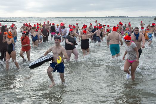 new year dip 2014 in winter holland
