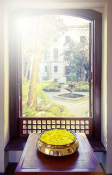 Yellow flowers and open window overlooking a park