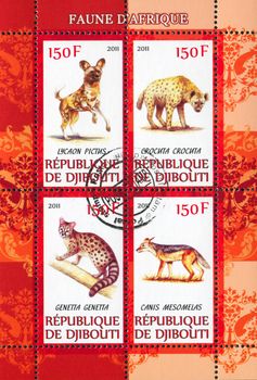 DJIBOUTI - CIRCA 2011: stamp printed by Djibouti, shows animals, circa 2011