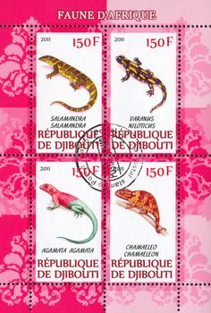 DJIBOUTI - CIRCA 2011: stamp printed by Djibouti, shows animals, circa 2011