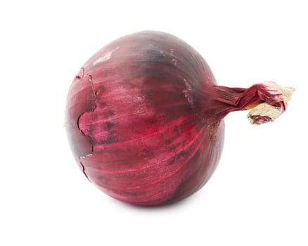 Fresh red onion isolated on white background