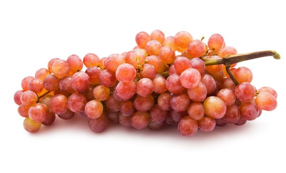 Branch of grapes isolated on white background