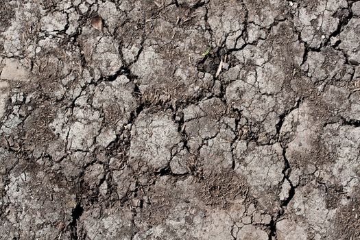 Land with dry cracked ground texture background