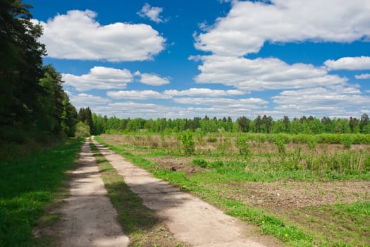 Green meadow and road under blue sky