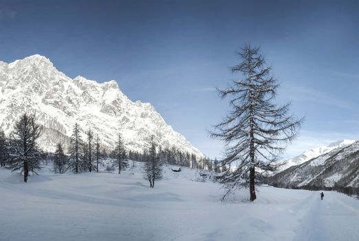 Mont Blanc seen from the Val Ferret, Aosta Valley - Italy