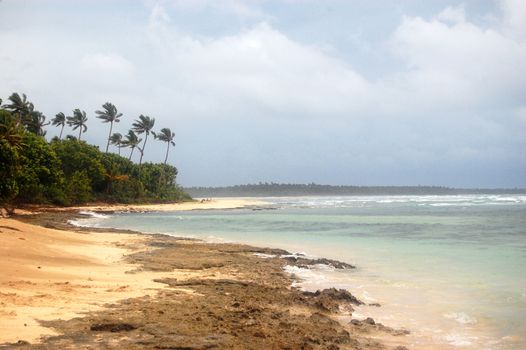 Ocean coast low tide South Pacific, Kingdom of Tonga