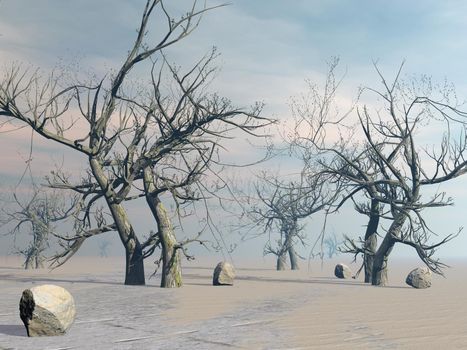 Dead trees in the desert next to rocks by hot sunset