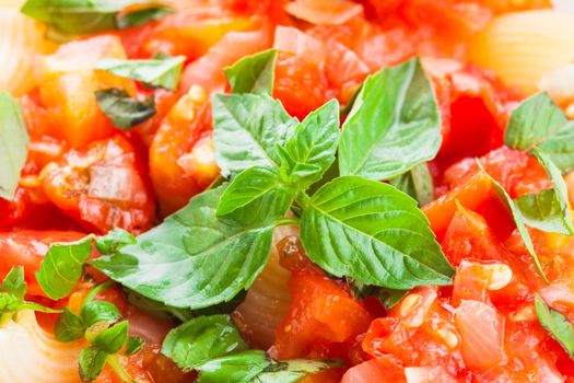 Pasta with sauce from fresh tomatoes and basil, close up