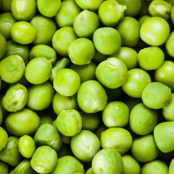 Green pea  with waterdrops scattered as a background