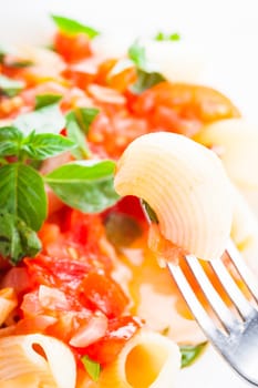 Pasta with sauce from fresh tomatoes and basil, close up