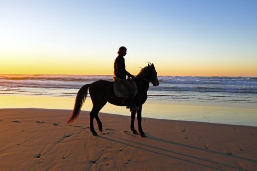 Horse riding on the beach at sunset
