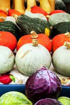 Squash and Gourds for sale at the Kelowna market