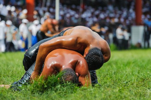 Two wrestlers oil wrestling Turkish yagli güres in Kirkpinar Edirne 