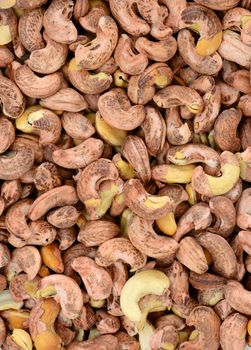 cashews with shell background