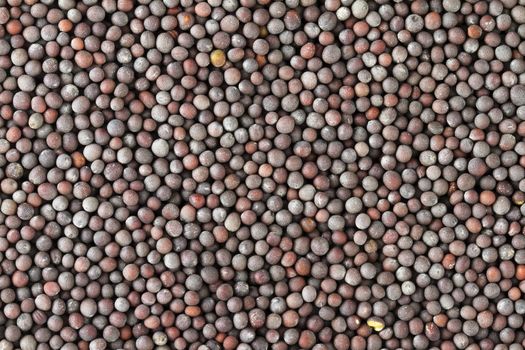 Brown mustard seed food background