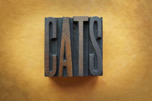 The word CATS written in vintage letterpress type.