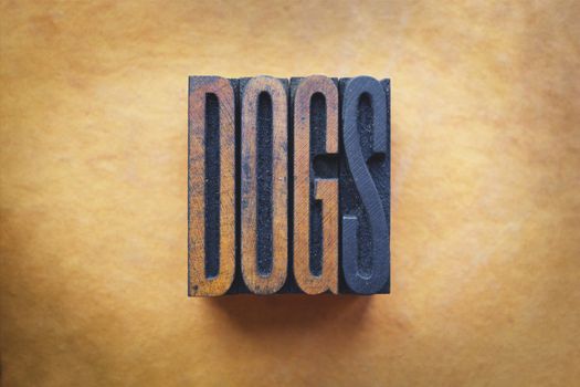 The word DOGS written in vintage letterpress type.