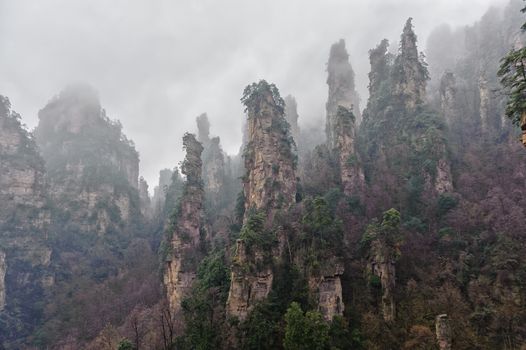 The typical Zhangjiajie mountain in fog.