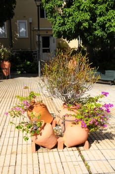 Terracotta Vases with Plants on an Urban Garden