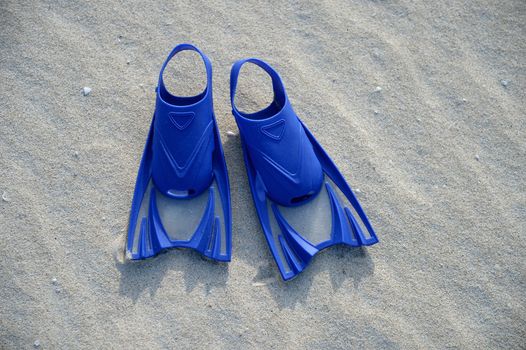 Swimming gear isolated against a white background