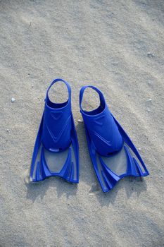 Swimming gear isolated against a white background