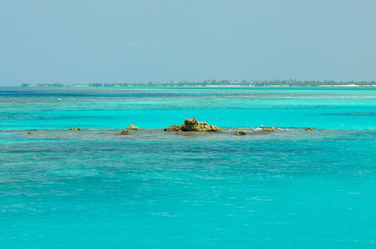 Coral Reef in Indian Ocean on Palm Tree Beach background Outdoors