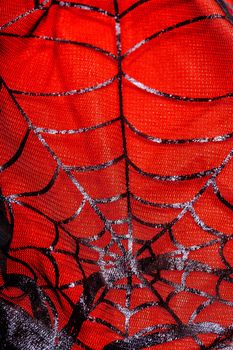 Mesh Web photographed close up for background on halloween