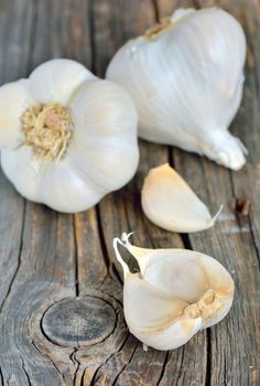 Organic garlic whole on wood