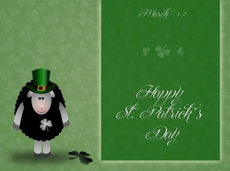 sheep for St. Patrick's Day