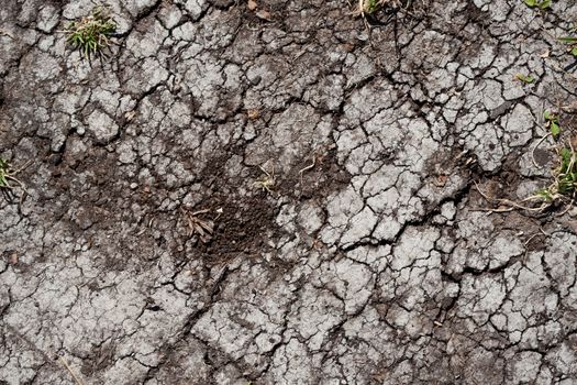 Land with dry cracked ground texture background