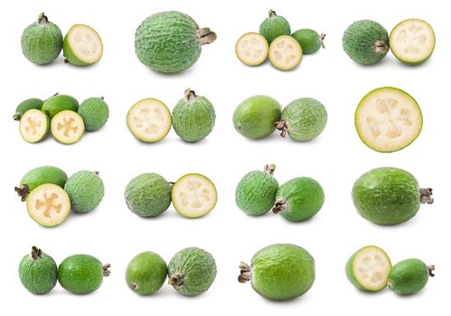 Collection of feijoa acca sellowiana fruits isolated on white background