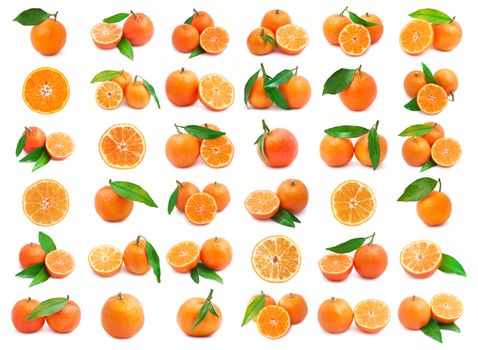 Collection of juicy tangerines or mandarins isolated on white background