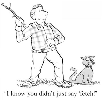 "I know you didn't just say fetch."
