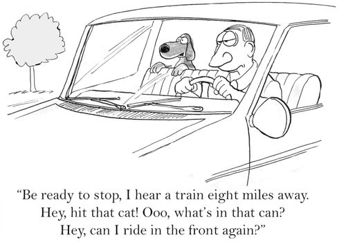 "Be ready to stop, I hear a train eight miles away. Hey, hit that cat. Ooo, what's in that can. Can I ride in the front again?"