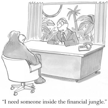 "I need someone inside the financial jungle."