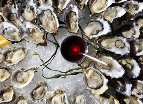 Opened oysters on ice with red souse