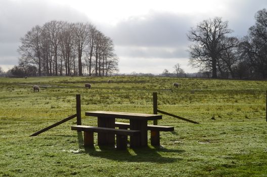A wooden picnic table and benches positioned in a nature beauty spot in the County of Sussex,England.