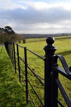 Beautifully crafted iron fence running along open pasture fields.