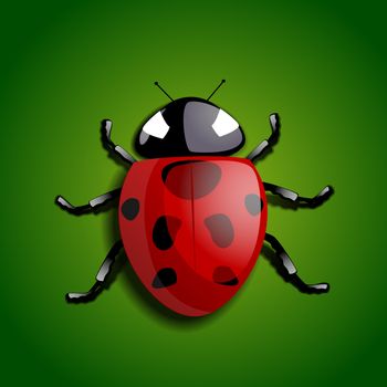 A realistic ladybug isolated on a green background