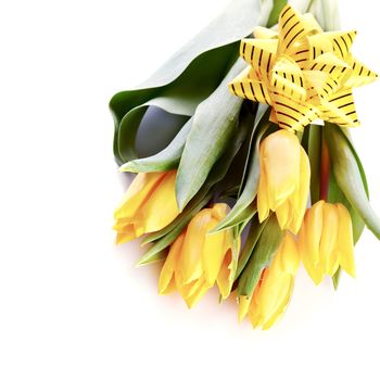 Bouquet of yellow tulips with a bow. Spring flowers. Yellow tulips.