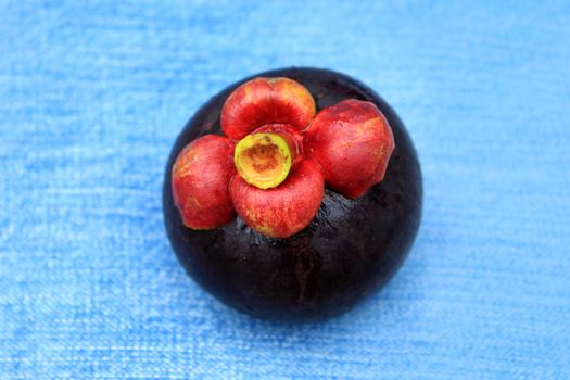 Fresh mangosteen fruit