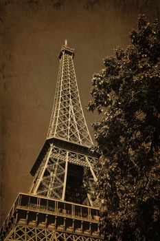 Close up of a sepia tour eiffel and a tree in Paris