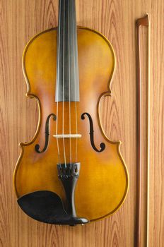 violin on wood background