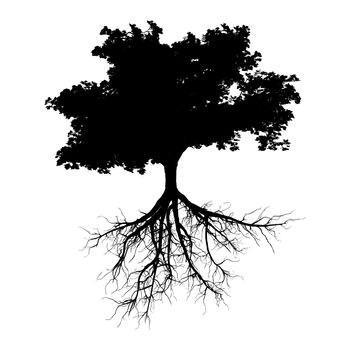 A black tree with roots isolated on a white background