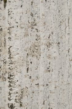 A colored texture of grunge white wall