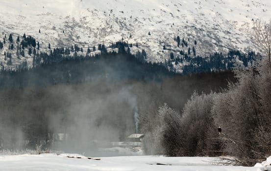 Snowcovered Mountains in  Alaska. Chilkat State Park. Mud Bay. HAINES. Alaska. USA