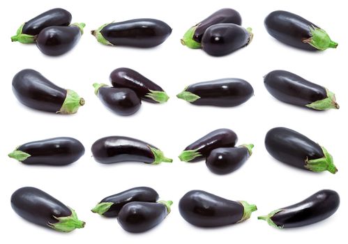 Collection of  aubergine or eggplants  isolated on white background