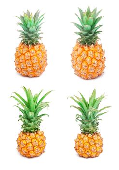 Collection of ripe tasty pineapples isolated on white background