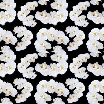 Floral background. White orchid seamless pattern